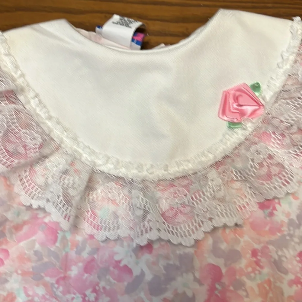 Roanna little girl size 4 pale pink and purple flowered dress - Picture 4 of 6